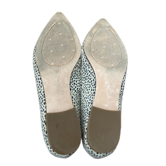 Caslon Pointed Toe Cheetah Flats - Picture 8 of 9